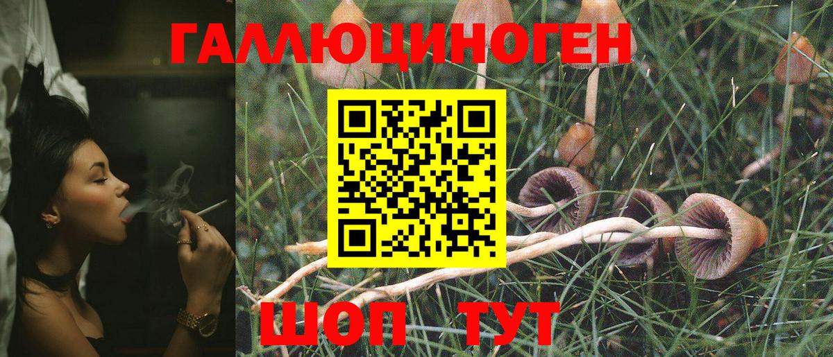 Галлюциногенные грибы Cubensis  Вход с VPN  Мелеуз 
